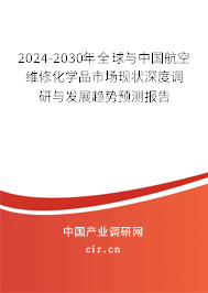 2024-2030年全球與中國航空維修化學品市場現狀深度調研與發展趨勢預測報告