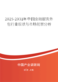 2025-2030年中國金融服務外包行業現狀與市場前景分析