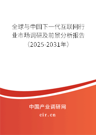 全球與中國下一代互聯網行業市場調研及前景分析報告（2025-2030年）