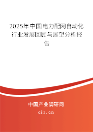 2025年中國電力配網自動化行業發展回顧與展望分析報告