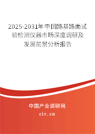 2025-2031年中國路基路面試驗檢測儀器市場深度調研及發展前景分析報告