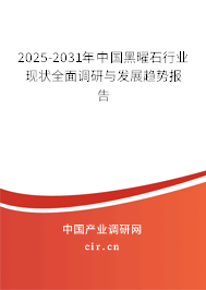 2025-2031年中國黑曜石行業現狀全面調研與發展趨勢報告