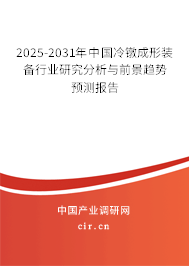 2025-2031年中國冷鐓成形裝備行業研究分析與前景趨勢預測報告
