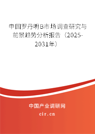 中國(guó)羅丹明B市場(chǎng)調(diào)查研究與前景趨勢(shì)分析報(bào)告（2025-2031年）