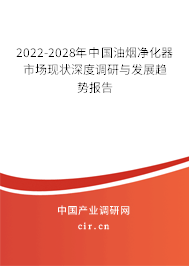 2022-2028年中國油煙凈化器市場現狀深度調研與發展趨勢報告