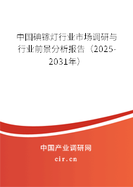 中國碘鎵燈行業市場調研與行業前景分析報告（2025-2031年）