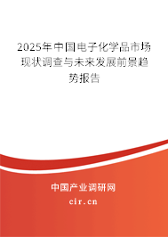 （最新）中國電子化學品市場現狀調查與未來發展前景趨勢報告