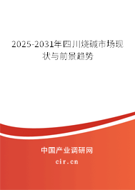 2025-2031年四川燒堿市場(chǎng)現(xiàn)狀與前景趨勢(shì)