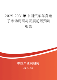2025-2031年中國汽車車身電子市場調研與發展前景預測報告