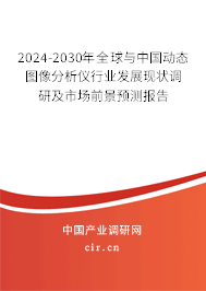 2024-2030年全球與中國動態圖像分析儀行業發展現狀調研及市場前景預測報告