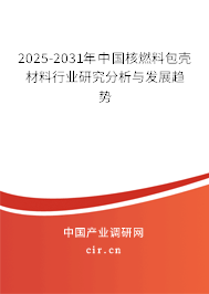 2024-2030年中國核燃料包殼材料行業研究分析與發展趨勢