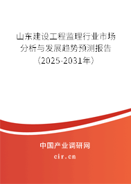 山東建設工程監理行業市場分析與發展趨勢預測報告（2025-2031年）