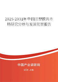 2025-2031年中國注塑模具市場研究分析與發展前景報告