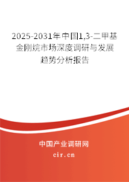 2025-2031年中國1,3-二甲基金剛烷市場深度調研與發展趨勢分析報告