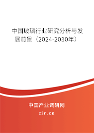 中國玻璃行業研究分析與發展前景（2024-2030年）