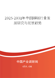 2024-2030年中國膽堿行業發展研究與前景趨勢