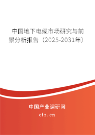 中國地下電纜市場研究與前景分析報(bào)告（2025-2031年）