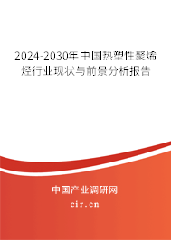 2024-2030年中國熱塑性聚烯烴行業現狀與前景分析報告