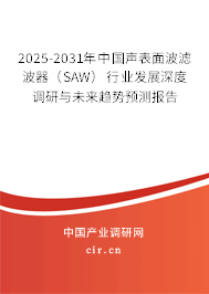 2025-2031年中國聲表面波濾波器（SAW）行業發展深度調研與未來趨勢預測報告