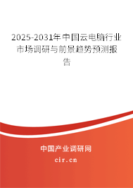 2025-2031年中國云電腦行業市場調研與前景趨勢預測報告