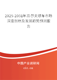 2025-2031年高爾夫球車市場深度剖析及發展趨勢預測報告