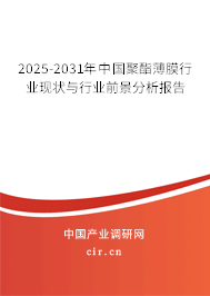 2025-2031年中國聚酯薄膜行業現狀與行業前景分析報告