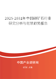 2025-2031年中國(guó)硼礦石行業(yè)研究分析與前景趨勢(shì)報(bào)告