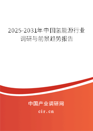2025-2031年中國氫能源行業調研與前景趨勢報告