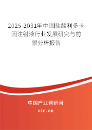 2025-2031年中國鹽酸利多卡因注射液行業發展研究與前景分析報告
