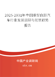 2025-2031年中國重型自卸汽車行業發展調研與前景趨勢報告