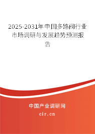 2025-2031年中國多路閥行業市場調研與發展趨勢預測報告
