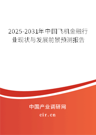 2025-2031年中國(guó)飛機(jī)金融行業(yè)現(xiàn)狀與發(fā)展前景預(yù)測(cè)報(bào)告