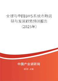 全球與中國(guó)BMS系統(tǒng)市場(chǎng)調(diào)研與發(fā)展趨勢(shì)預(yù)測(cè)報(bào)告（2025年）
