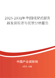 2024-2030年中國機架式服務器發展現狀與前景分析報告