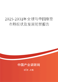 2025-2031年全球與中國(guó)靠墊市場(chǎng)現(xiàn)狀及發(fā)展前景報(bào)告