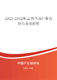 2025-2031年山西汽油行業(yè)調(diào)研與發(fā)展趨勢(shì)