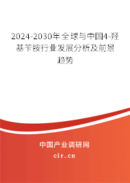 2024-2030年全球與中國4-羥基芐胺行業發展分析及前景趨勢