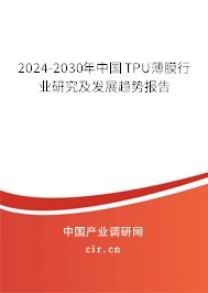 2024-2030年中國TPU薄膜行業(yè)研究及發(fā)展趨勢報告