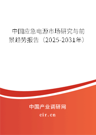 中國應急電源市場研究與前景趨勢報告（2025-2031年）