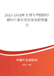 2023-2029年全球與中國鋼砂磨料行業現狀及發展趨勢報告