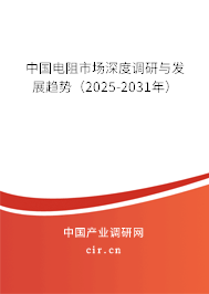 中國電阻市場深度調研與發展趨勢（2025-2031年）