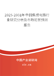 2025-2031年中國集成電路行業研究分析及市場前景預測報告