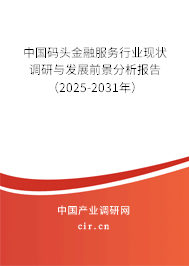 中國碼頭金融服務行業現狀調研與發展前景分析報告（2025-2031年）