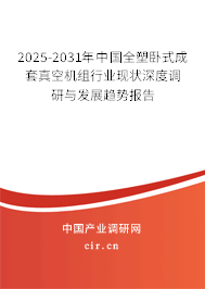 2025-2031年中國全塑臥式成套真空機組行業現狀深度調研與發展趨勢報告