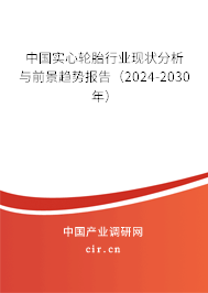 中國實心輪胎行業現狀分析與前景趨勢報告（2024-2030年）