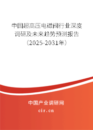 中國超高壓電磁閥行業深度調研及未來趨勢預測報告（2024-2030年）